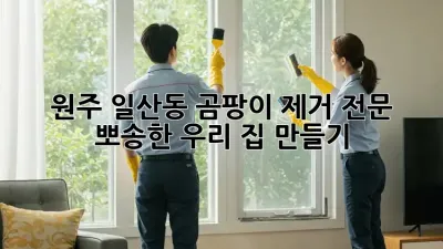 원주 일산동 곰팡이 제거 전문 🏡 뽀송한 우리 집 만들기!