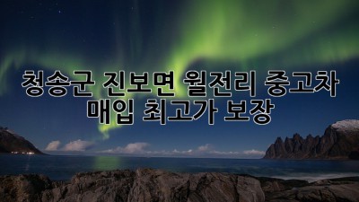 청송군 진보면 월전리 중고차 매입, 최고가 보장!