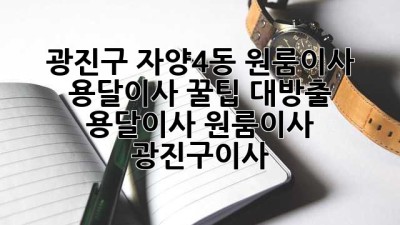 광진구 자양4동 원룸이사, 용달이사 꿀팁 대방출! 🍯 #용달이사 #원룸이사 #광진구이사